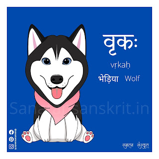 Wolf (भेड़िया) in Sanskrit