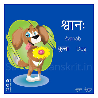 Dog (कुत्ता) in Sanskrit