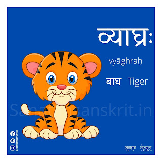 Tiger (बाघ) in Sanskrit