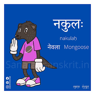 Mongoose (नेवला) in Sanskrit