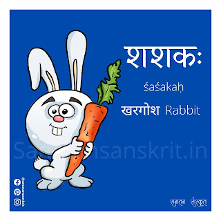 Rabbit (खरगोश) in Sanskrit