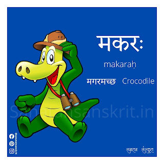 Crocodile (मगरमच्छ) in Sanskrit