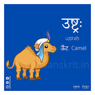 Camel (ऊँट) in Sanskrit