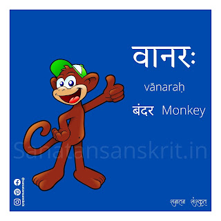 Monkey (बंदर) in Sanskrit