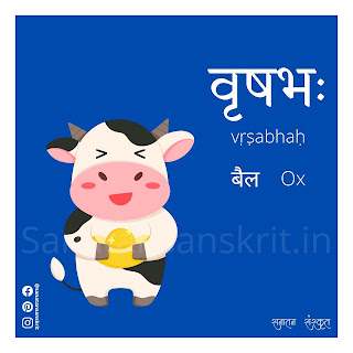Ox (बैल) in Sanskrit