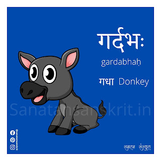 Donkey (गधा) in Sanskrit